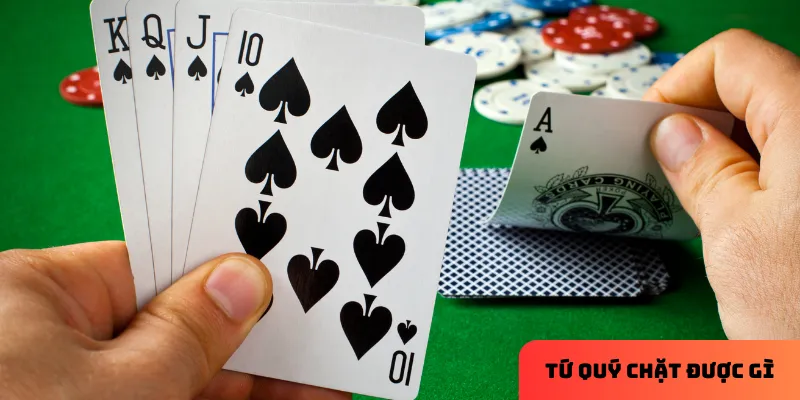 Giải thích cơ bản về sức mạnh của Tứ quý chặt